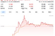 邯郸上市首日暴涨140% 军用无人机公司登陆纽交所 AI打造产品核心竞争力